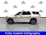 Thumbnail of 2025 Typhoon Silver Hyundai PALISADE