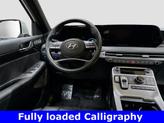 Thumbnail of 2025 Typhoon Silver Hyundai PALISADE