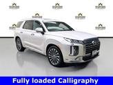 Thumbnail of 2025 Typhoon Silver Hyundai PALISADE