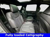 Thumbnail of 2025 Typhoon Silver Hyundai PALISADE