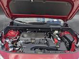 Thumbnail of 2025 Ruby Flare Pearl Toyota RAV4