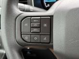 Thumbnail of 2022 Agate Black Metallic Ford F-150