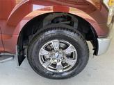 Thumbnail of 2015 BRONZE FIRE METALLIC Ford F-150