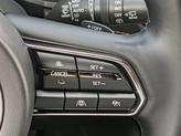 Thumbnail of 2025 Platinum Quartz Mazda CX-90