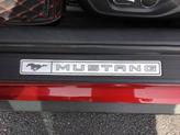 Thumbnail of 2019 Ruby Red Metallic Tinted Clearcoat Ford Mustang