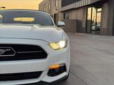 Thumbnail of 2015 Oxford White Ford Mustang