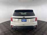 Thumbnail of 2024 Platinum White Pearl Honda Passport