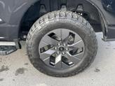 Thumbnail of 2023 AGATE BLACK METALLIC Ford F-150 Lightning