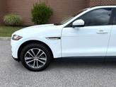 Thumbnail of 2018 Fuji White Jaguar F-PACE