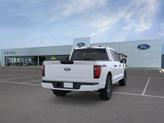 Thumbnail of 2025 Oxford White Ford F-150