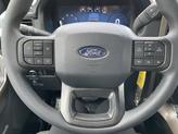 Thumbnail of 2025 Black Ford F-150