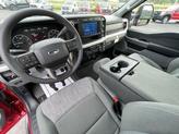 Thumbnail of 2023 Rapid Red Metallic Tinted Clearcoat Ford F-350