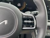 Thumbnail of 2025 Panthera Metal Kia Carnival
