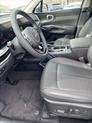 Thumbnail of 2025 Ebony Kia Sorento