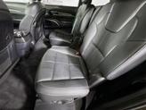 Thumbnail of 2021 Dark Moss Kia Telluride