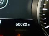 Thumbnail of 2021 Dark Moss Kia Telluride
