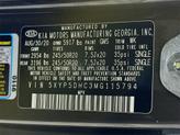 Thumbnail of 2021 Dark Moss Kia Telluride