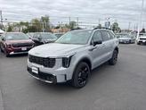 Photo of 2025 Gray Kia Sorento