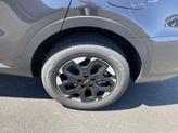 Thumbnail of 2026 Panthera Metal Kia Sorento