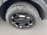 Thumbnail of 2025 Ebony Kia Sorento