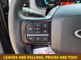 Thumbnail of 2023 Agate Black Metallic Ford F-150