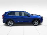 Thumbnail of 2025 Pearl Honda CR-V