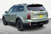 Thumbnail of 2025 Jungle Green Kia Telluride