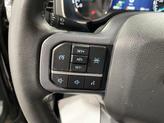 Thumbnail of 2023 Agate Black Metallic Ford F-150