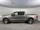 Thumbnail of 2023 Stone Gray Metallic Ford F-150