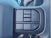 Thumbnail of 2025 White Ford F-150