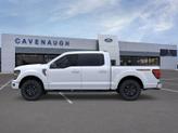Thumbnail of 2025 White Ford F-150