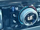Thumbnail of 2025 Iridescent Pearl Tricoat Chevrolet Silverado 1500