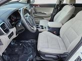 Thumbnail of 2021 Clear White Kia Sportage