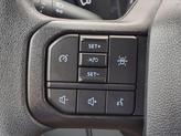 Thumbnail of 2023 Carbonized Gray Metallic Ford F-150