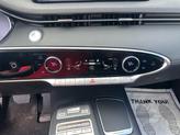 Thumbnail of 2025 Vik Black Genesis GV70