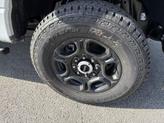 Thumbnail of 2025 Avalanche Ford F-250