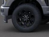 Thumbnail of 2025 Gray Ford F-250