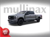 Thumbnail of 2025 Gray Ford F-250