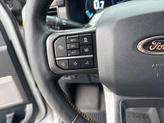 Thumbnail of 2023 Avalanche Ford F-150