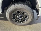 Thumbnail of 2025 Avalanche Ford F-250