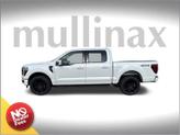 Thumbnail of 2025 White Ford F-150