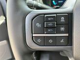 Thumbnail of 2025 Gray Metallic Ford F-250