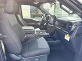 Thumbnail of 2025 Agate Black Metallic Ford F-150