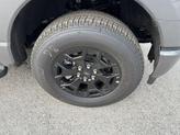 Thumbnail of 2025 Grey Ford F-150 Lightning