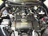 Thumbnail of 2000 Black Pontiac Firebird