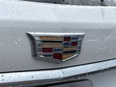 Thumbnail of 2023 Crystal White Tricoat Cadillac XT5