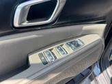Thumbnail of 2026 Panthera Metal Kia Carnival