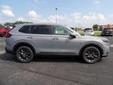 Thumbnail of 2026 Urban Gray Pearl Honda CR-V