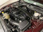 Thumbnail of 2018 MAROON Ford Mustang