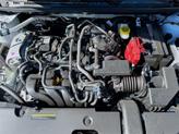 Thumbnail of 2025 White Nissan Sentra